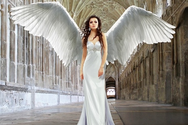 14 angel